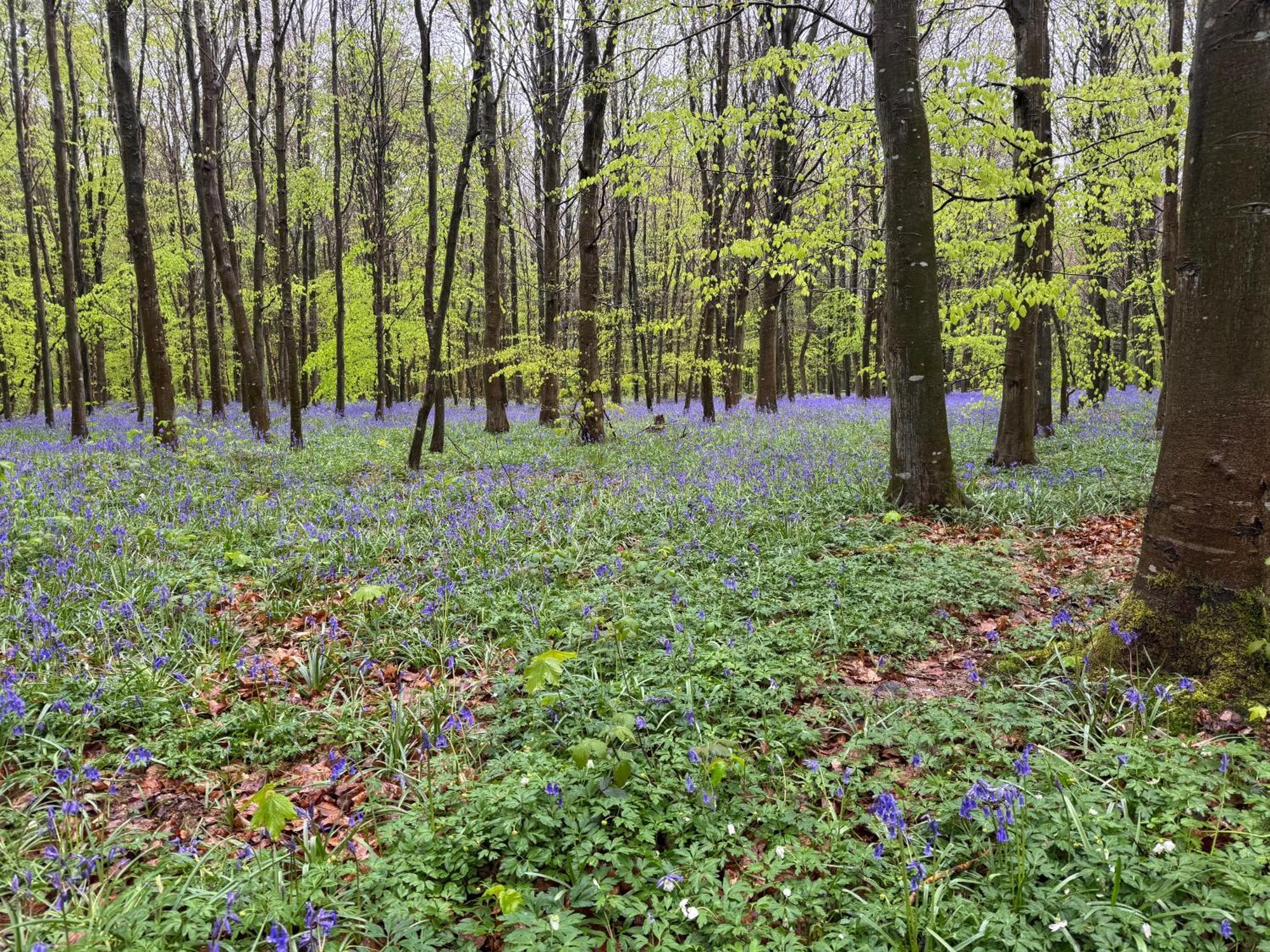 Camping L'Oree Des Caps Licques Kültér fotó